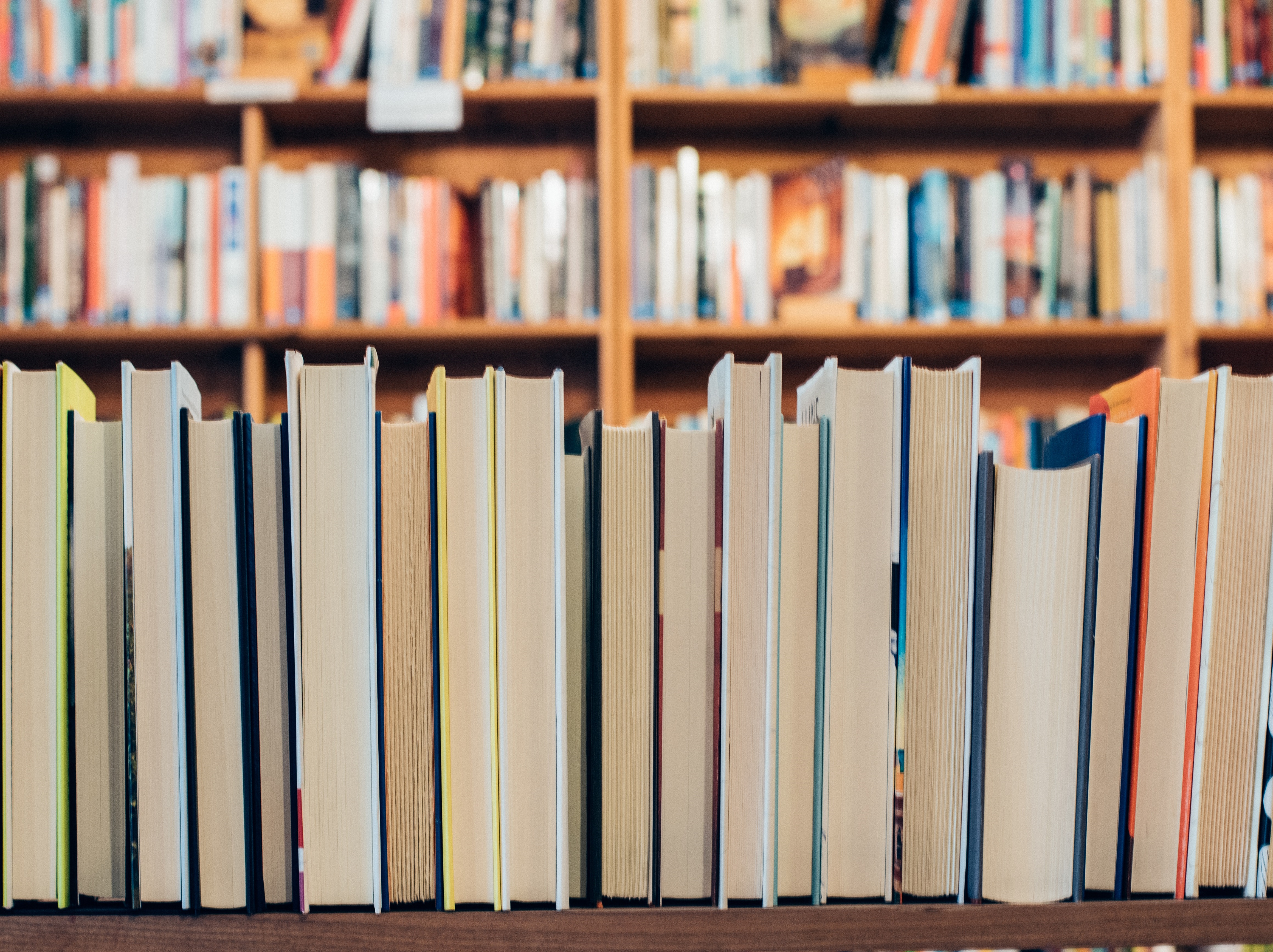 ...Krimi Bücher lesen